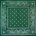 Green Paisley Bandana